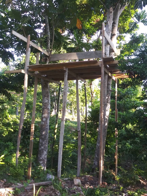 Beautiful tree stand built for us to view the roof pour!