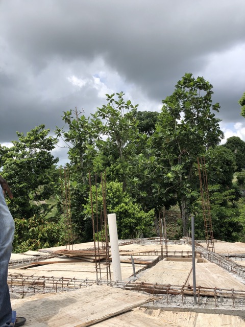 View of the plywood framing from the top of the roof.